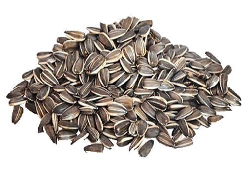Sunflower Seeds